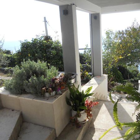 Appartement Blue Horizon à Dobra Voda Extérieur photo